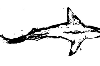 Black and white image of a bird’s eye view of a drawn shark