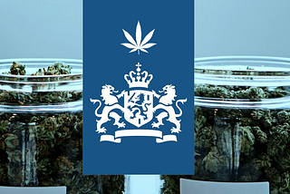 Rijksoverheid cannabis experiment The Netherlands
