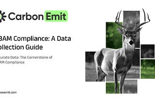 CBAM Compliance: A Data Collection Guide