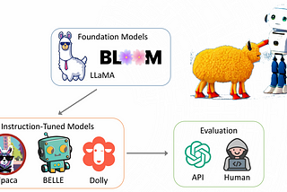 Fine-Tuning and Evaluating Large Language Models (LLMs)
