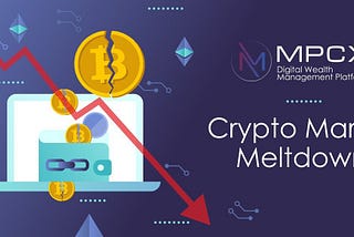 Crypto Market Meltdown — A case study on how to eliminate exposure while preserving portfolio…