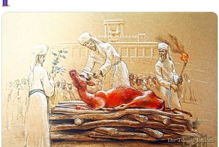 Ziofascist Israel’s ‘Red Cow Disease’ and the Book of Revelations’ “Synagogue of Satan”: A Road to…