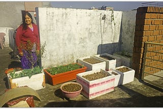 From My Mother’s Kitchen Garden