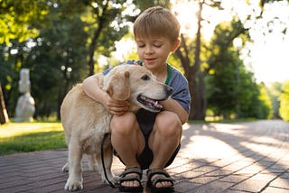 The Remarkable World of Assistance Dogs