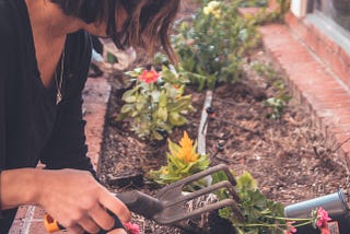 Here’s the secret to how your garden can Improve your Life