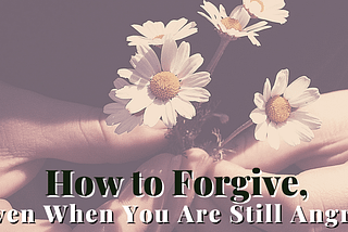 hands holding daisies How to Forgive Even When You are Still Angry