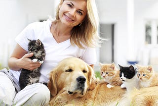 3 Points to Consider While Buying Pet Products Online