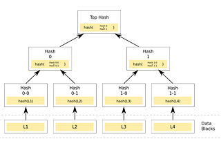 Merkle Tree Proofs