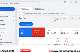 Another Successful Google Shopping Ad Campaign Completed!