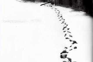 “Footprints”