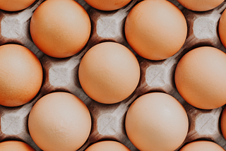 Egg Alternatives: A guide to the landscape of functional replacers of the chicken’s egg