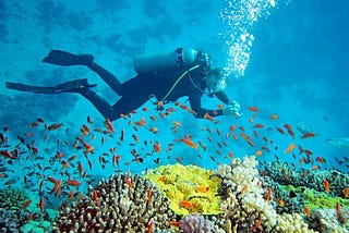 Perfect Andaman Tour Packages for Every Traveler