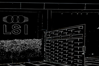 Discover LSI