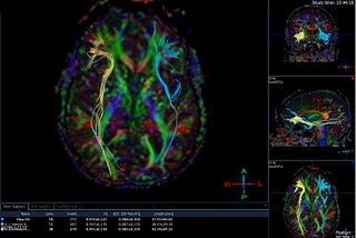 Problems and Challenges for a Science of Consciousness