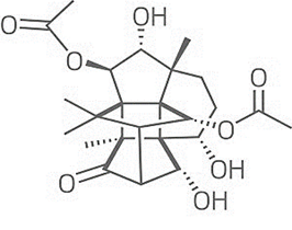 Canataxpropellane- A Milestone in Molecular Synthesis.