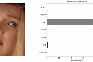 Frame-by-Frame: Tracking Emotions in Videos with AI