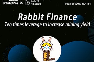 Which feature I like most in Rabbit Finance.