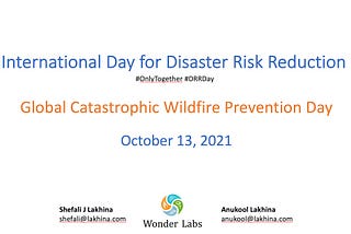 International Day for Disaster Risk Reduction 2021