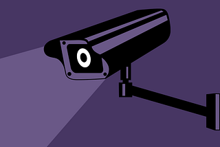 The productivity conundrum in the age of surveillance technologies