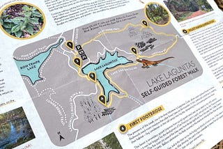 For a long time, I forgot that I love creating maps