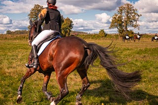 What You Should Know About Horseback Riding