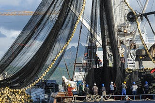 “Seaspiracy’ has started a conversation that no one was having