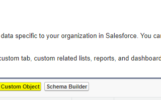 Creation of an Object in Salesforces