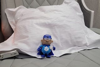 Skewie’s Adventurous Journey: From Dubai to Bahrain and Back!