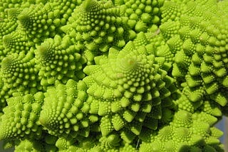 Self-similar structure close-up of the Romanesco Broccoli