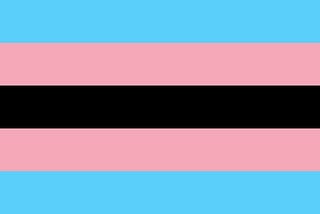 Black Trans Women, We Need To Do Better…