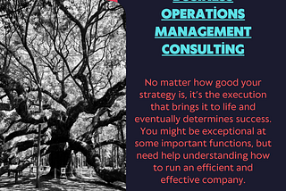 Business Operations Management Consulting
