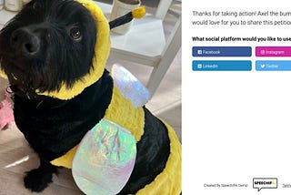 A screenshot of a SpeechifAI thank you redirect page featuring Axel the dog wearing a bumble bee costume.