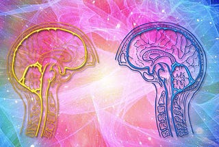 A picture of two brain diagrams with a wave of blue and pink colours as a background.