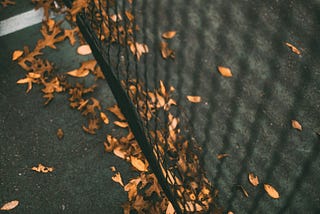 Autumn leaves on a tennis court
