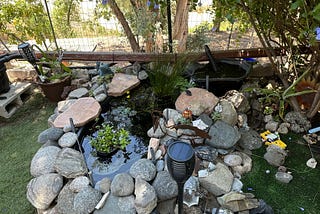 Photo of small pond with rocks around it and plants in it. A small waterfall tub is being added to it in the back.