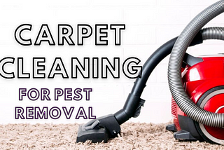 Can Carpet Cleaning Services Sydney Protect Your Carpets From Pests?