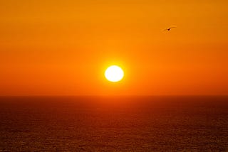 I am the SUN. I am here for YOU!