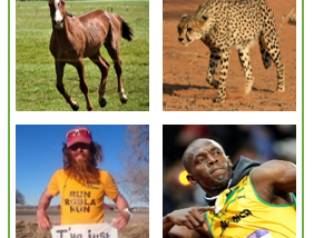 Image Grid to Draw Analogy of Contrast: Tortoise to Hare, Horse to Cheetah, Pope to Bolt, Berkshire Hathaway to Citadel