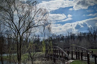 A willow next to an old bridge.