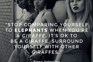 Stop Comparing Yourself to Elephants When You’re a Giraffe: How to Build Your Tribe & Support Your…