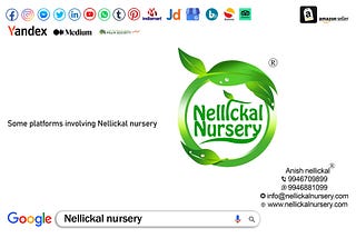 Nellickal Nursery® is an agriculture best plant nursery enterprise established in 1999 on December 01 on the steps of Veliyancode Schoolpadi in Ponnani Taluk, Malappuram District Kerala India. The No:1 service is provided by plant nursery owner Environmentalist Anish nellickal®. Fruit Garden setting, Rejuvenation therapy in trees, Pruning, Butterfly Gardening, Tree Transplantation, Bonsai Making, Bonsai Training, Vertical Gardening, Kokedama Gardening, Medicinal Gardening, Birth Star plant set