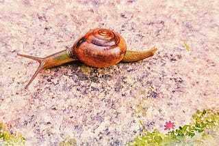 A watercolor rendition of a snail on a stone slab with flowers along the border