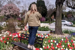 A woman standing on a bench in a park, surrounded by tulips