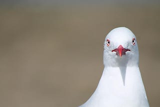 Blog Post: Very grumpy