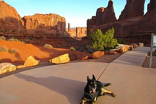 National Parks in Utah and North to Vancouver Island