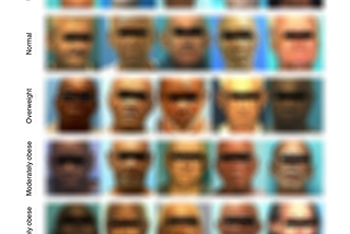 A grid of blurred mugshots showing five examples of of five body mass index categories from underweight to severely obese.