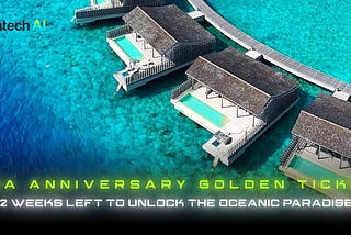 Final Call: Grab Your $FNA Anniversary Golden Ticket to the Maldives