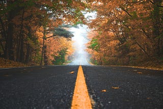 Road in a wooded area