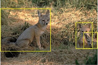 Object Detection :Theory
