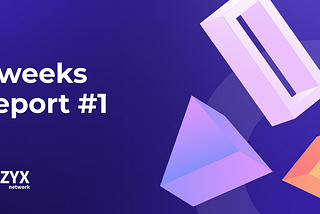 ZYX Network 2 weeks report #1